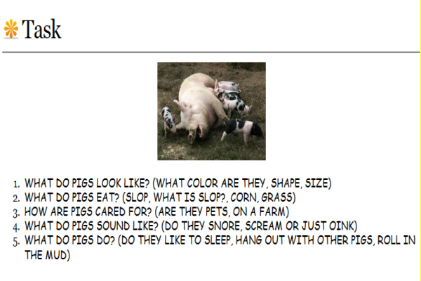 Webquest: Pigs | Recurso educativo 33976