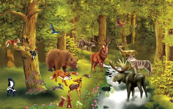 Puzzle Nivel 2: Animales del bosque | Recurso educativo 34314