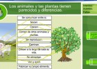 Los animales y las plantas: cosas en común | Recurso educativo 35633