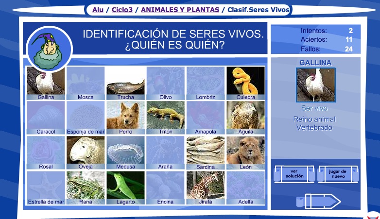 Identificación de los animales | Recurso educativo 35736