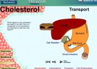 Video: Cholesterol | Recurso educativo 39909