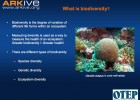 Design a conservation programme | Recurso educativo 40702