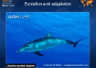 Evolution and adaptation | Recurso educativo 40708
