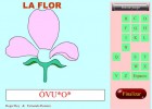 La flor | Recurso educativo 41221