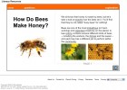 How do bees make honey? | Recurso educativo 42140