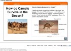 How do camels survive in the desert? | Recurso educativo 42152