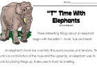 Elephants | Recurso educativo 42878