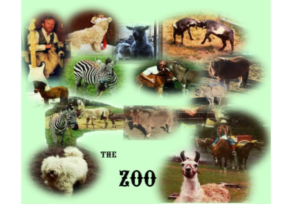 Webquest: The zoo | Recurso educativo 42986