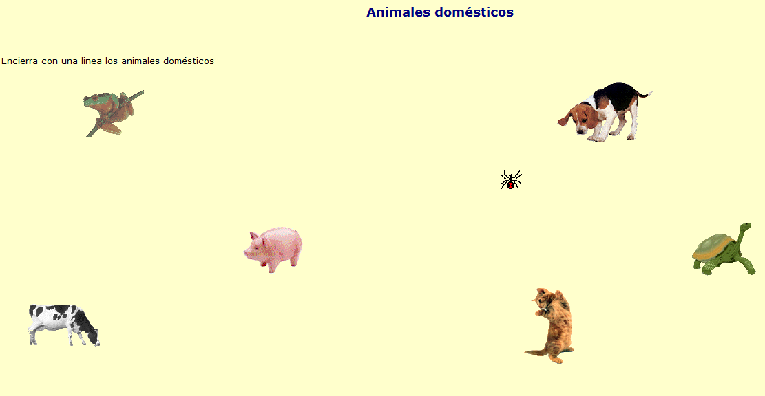 Animales domésticos | Recurso educativo 43211
