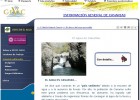 El agua en Canarias | Recurso educativo 44411