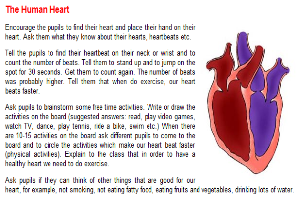 The human heart | Recurso educativo 45632