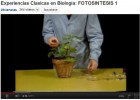 Pràctica de fotosíntesi | Recurso educativo 47617