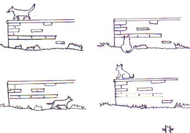 Ficha: posición animal | Recurso educativo 48567