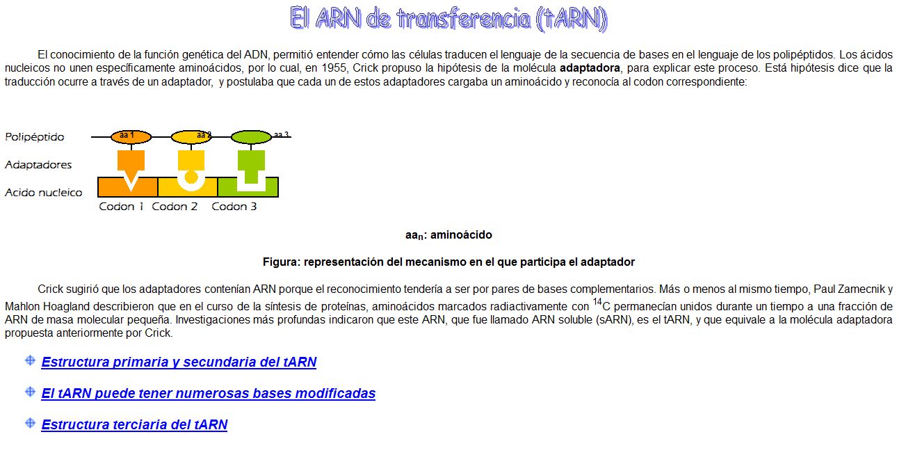 ARN de transferencia | Recurso educativo 49100