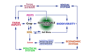 Sustainable agriculture | Recurso educativo 49365
