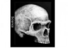 Los sapiens más antiguos de Europa | Recurso educativo 50951