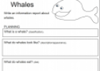 Whales | Recurso educativo 54299