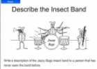 Describe the insect band | Recurso educativo 54379