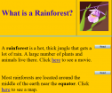 The rainforest | Recurso educativo 58913