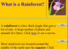 The rainforest | Recurso educativo 58913