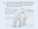 Polar bears | Recurso educativo 58977