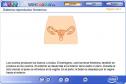 El sistema reproductor femenino | Recurso educativo 1235