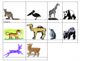 Animals and Countries | Recurso educativo 13425