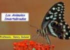 Animales invertebrados 2 | Recurso educativo 19539