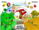 5 al día: Frutas y estaciones | Recurso educativo 28514