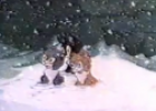 Vídeo: Tres gatitos huérfanos | Recurso educativo 30782