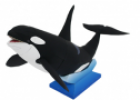 Animales: Orca | Recurso educativo 31117
