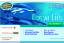 Ocean life | Recurso educativo 31909