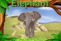 Animals zoo | Recurso educativo 61519