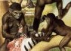 La prehistoria y el origen de la humanidad | Recurso educativo 7562