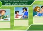 Nutrición, relación, reproducción | Recurso educativo 9169