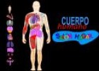 El cuerpo humano en flash | Recurso educativo 9493