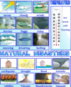 Weather / Natural disasters | Recurso educativo 62615