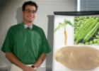 Food idioms: Vegetables | Recurso educativo 62987