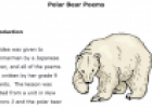 Polar bear poems: Lesson plan | Recurso educativo 66887