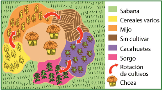 Agricultura itinerante y de sabana | Recurso educativo 72552