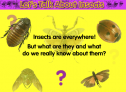 Let's talk about insects | Recurso educativo 79518