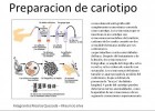 Diapositiva1.JPG | Recurso educativo 97896