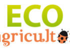 Huertos escolares: aprender de la Naturaleza. | ECOagricultor | Recurso educativo 99261