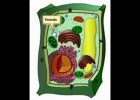 partes de la celula vegetal | Recurso educativo 105404