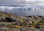 Groenlandia, isla de hielo | Recurso educativo 107242