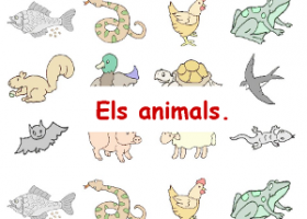 Els animals | Recurso educativo 496188