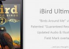 iBird | Recurso educativo 675326
