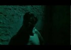 La Sombra Azul - trailer 1 | Recurso educativo 683324