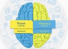 Tests de Visión y Memoria | Recurso educativo 686855