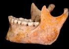 Descifran en España el ADN humano más antiguo de la Prehistoria | Recurso educativo 723843